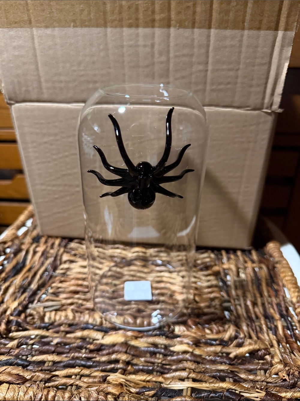 West Elm Clear Glass Bud Vase with Black Spider 🕷️ Accent BNIB - Picture 2 of 7